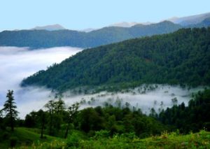 اطفای کامل حریق در عرصه های جنگلی گیلان/ ۱۳ شهرستان درگیر شدند 1 اطفای کامل حریق