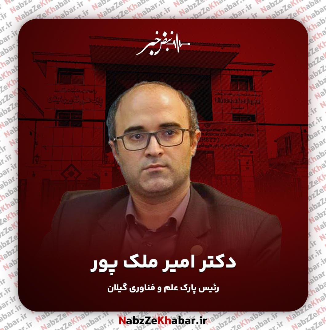 امیر ملک‌پور